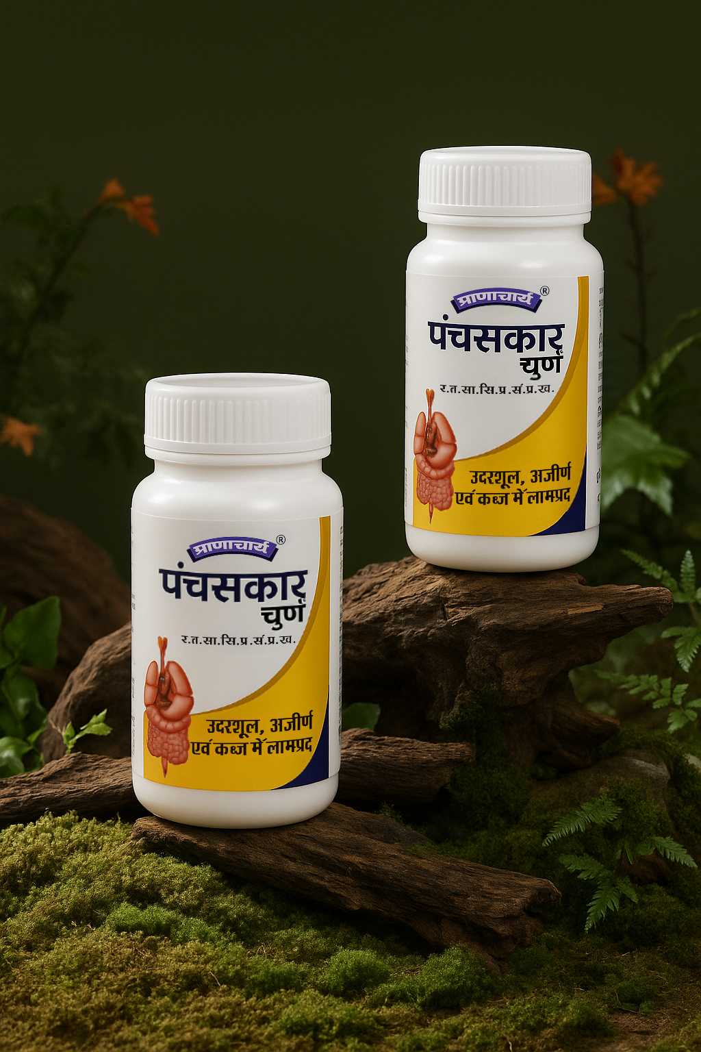 panchsakar churan ...0